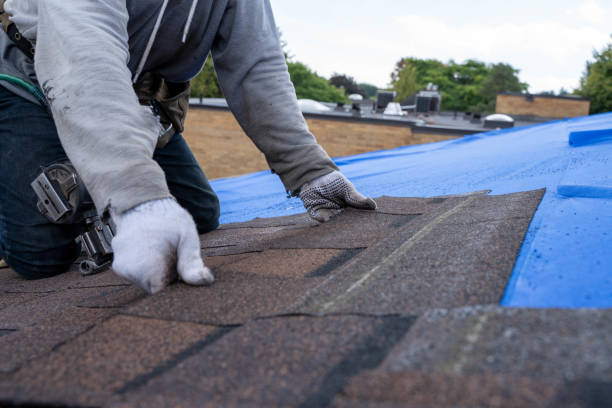 Best Roof Gutter Cleaning  in Erwin, TN