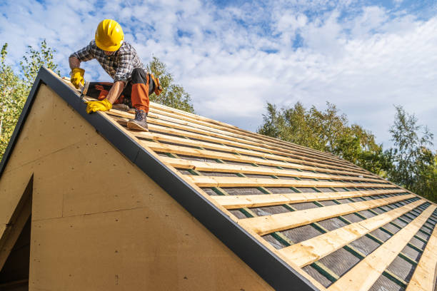 Best Gutter Installation and Roofing  in Erwin, TN