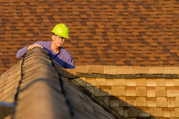 Best New Roof Installation  in Erwin, TN