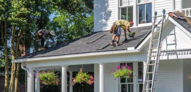 Professional Roofing Contractor in Erwin, TN